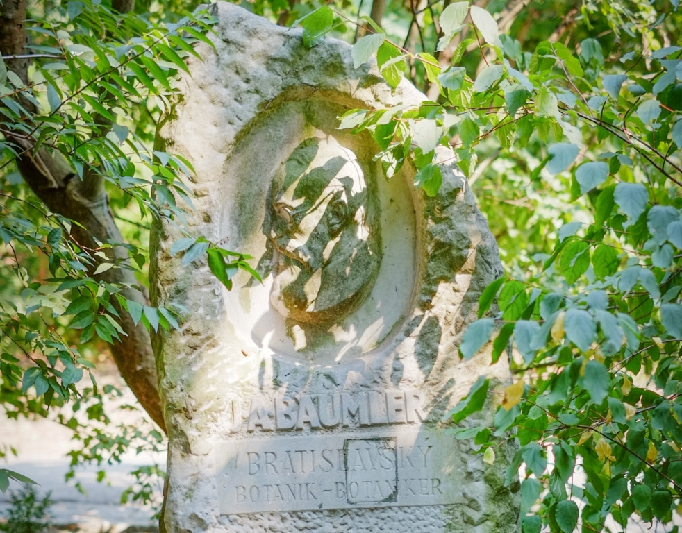 dscf2800