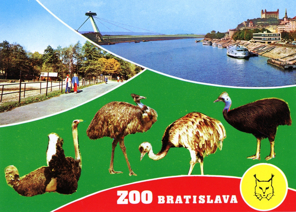 horvat030