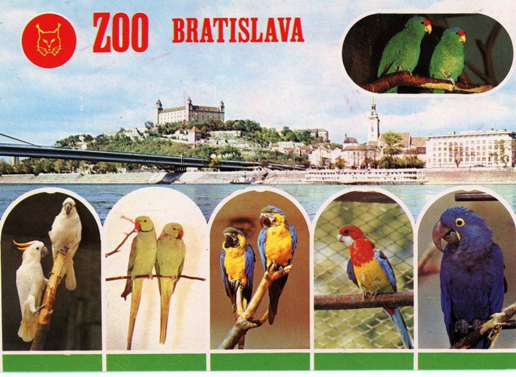 horvat095