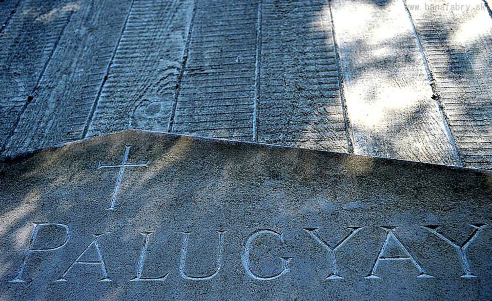 1186681_10200930646766814_1321995040_n