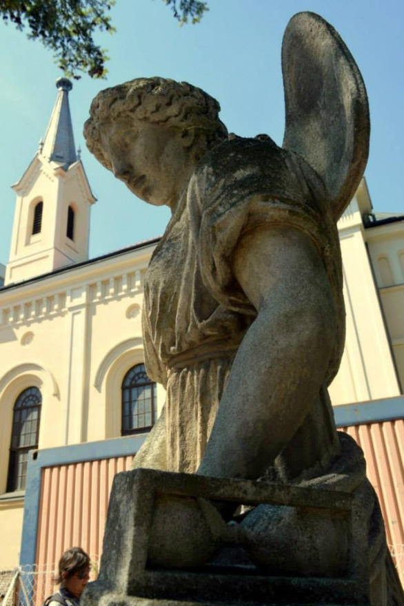 548318_10200930644366754_489760203_n